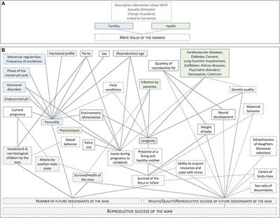 Evolutionary Theories and Men's Preferences for Women's Waist-to-Hip Ratio: Which Hypotheses Remain? A Systematic Review
